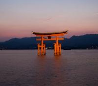 Torii Gate Torii Gate